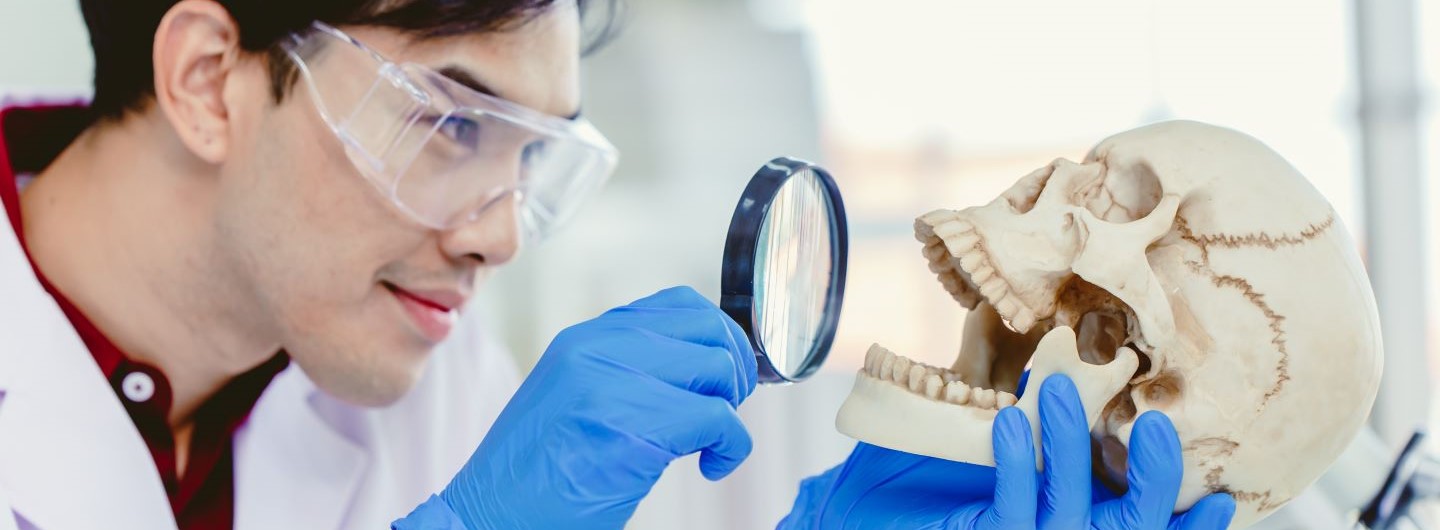 Anthropologe untersucht menschlichen Schädelknochen mit einem Vergrößerungsglas