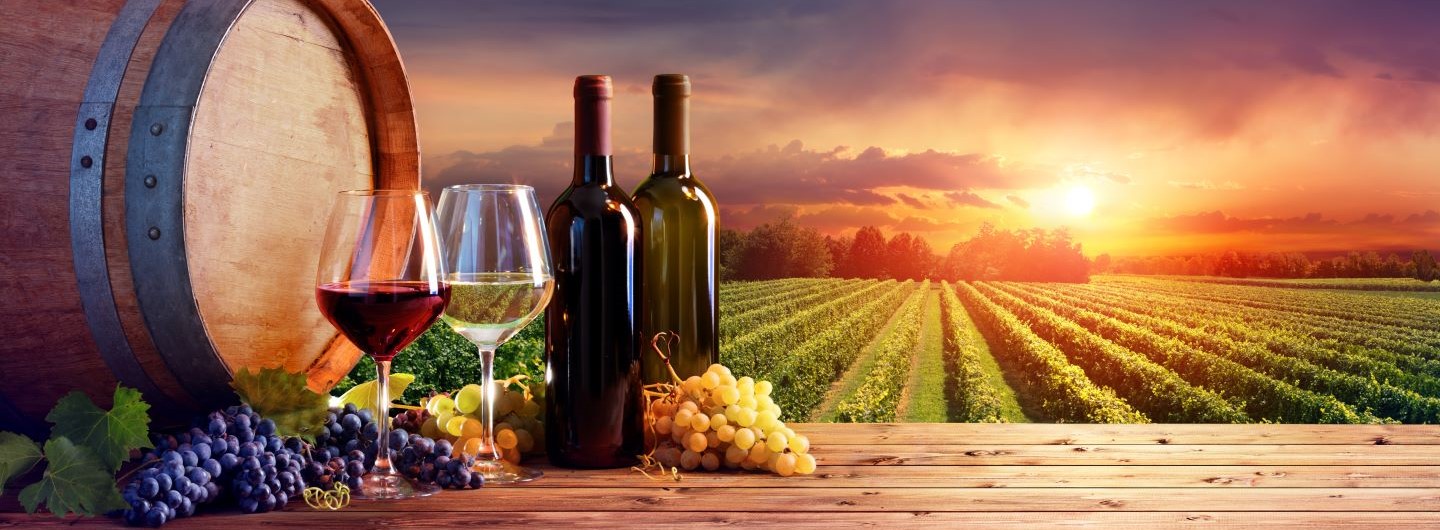 Weinflaschen Weingläser und Weintrauben vor einem sonnenbeschienen Anbaugebiet